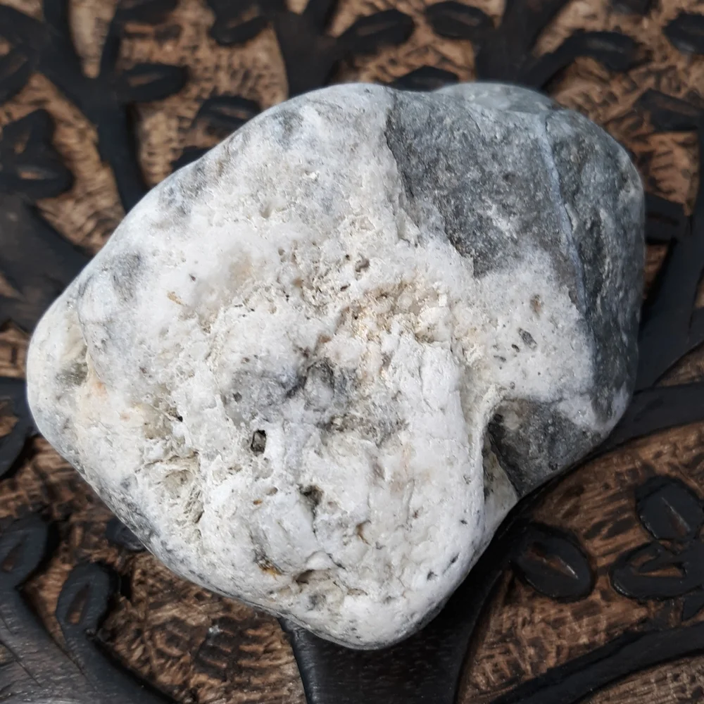 Maine Mottled Stone East Coast Lucky Beach Rock Raw Mineral Specimen Gray White